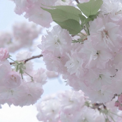 兽设冰川场景创作FurryQQ群